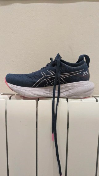 ASICS running shoes