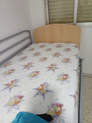 Cama articulada con motor