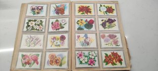 Álbum Cromos Naturaleza y Color