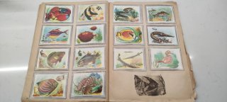 Álbum Cromos Naturaleza y Color