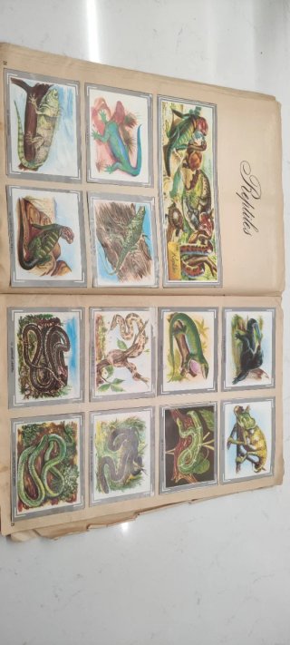 Álbum Cromos Naturaleza y Color