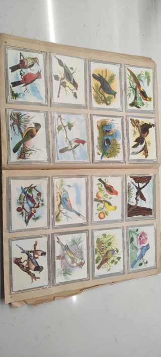 Álbum Cromos Naturaleza y Color