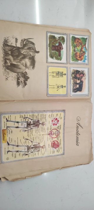 Álbum Cromos Naturaleza y Color