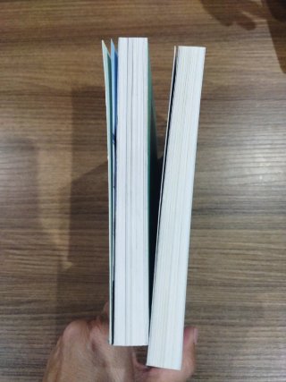 Lote de 2 libros novela gráfica. En catalán.