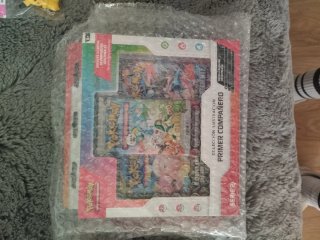 Colección Pokémon Ilustración Primer Compañero