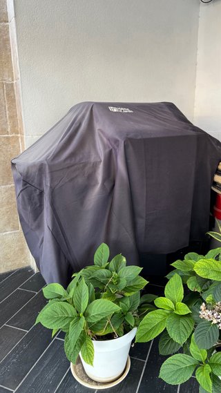 Barbacoa de gas negra casi nueva