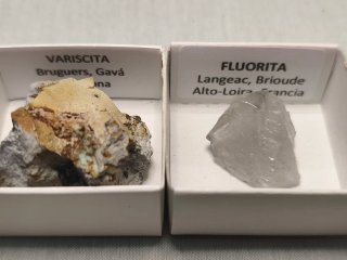 Lote de 12 minerales en cajas de 4 x 4
