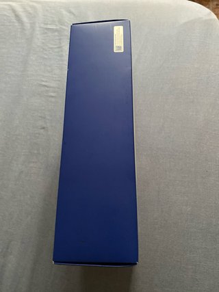 PlayStation Portal