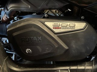 Can-Am Renegade 800