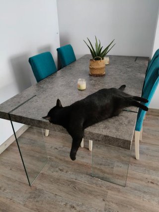 Mesa de comedor grande gris y patas de cristal