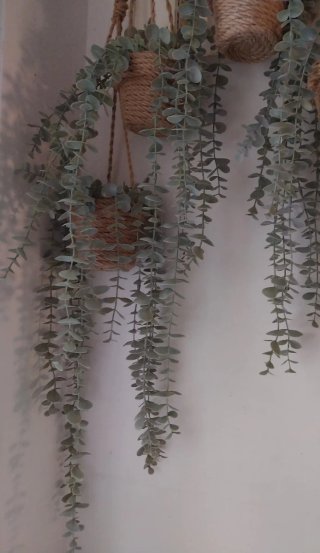 Lote 4 Plantas Eucalipto Colgantes Artificiales