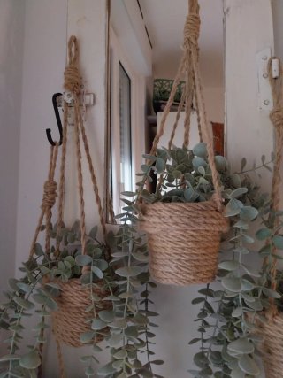 Lote 4 Plantas Eucalipto Colgantes Artificiales
