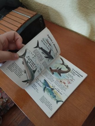 Cuadernos de Campo: Peces de mar