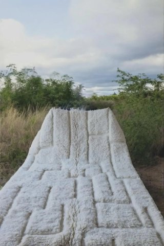 Alfombra de lana | Calidad Premium