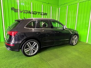 Audi SQ5 2015