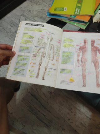 Conocimiento del Medio 6, Tercer Ciclo Primaria...