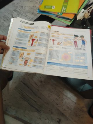 Conocimiento del Medio 6, Tercer Ciclo Primaria...