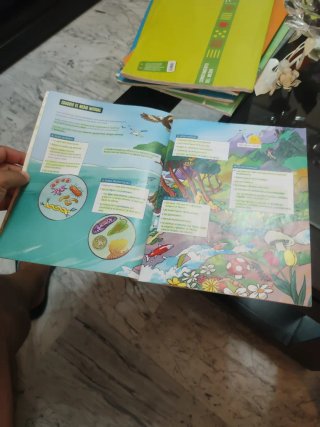 Conocimiento del Medio 6, Tercer Ciclo Primaria...