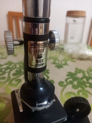 Microscopio infantil con accesorios