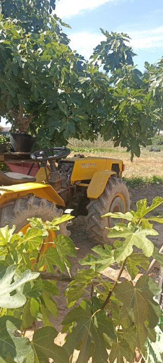 Pasquali 991 Tractor