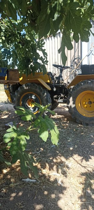 Pasquali 991 Tractor