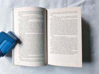Mientras nieva sobre los cedros - David Guterson