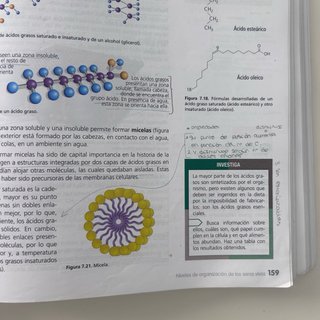 Inicia dual Biología y geología 1 Bachillerato