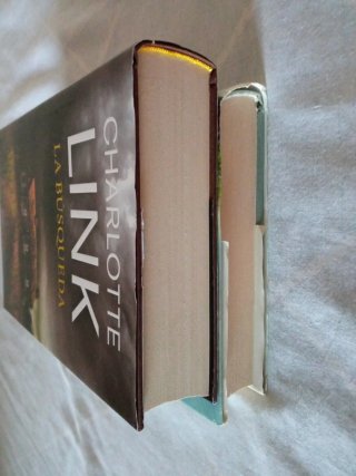 LOTE DE 2 VOLÚMENES DE CHARLOTTE LINK.