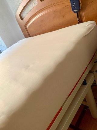 Cama articulada eléctrica Bardisa + Colchón