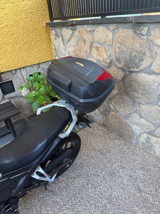 MOTRON XNORD 125