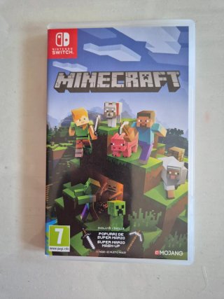 Minecraft Nintendo Switch