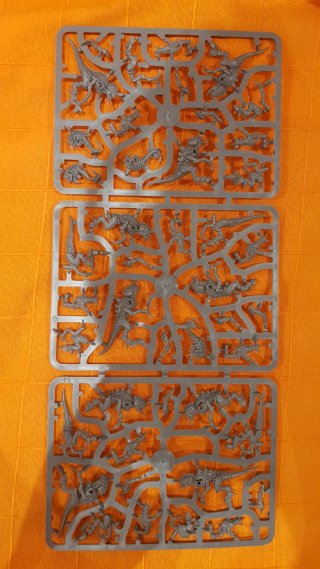 10 Termagantes y 1 Enjambre Warhammer 40K