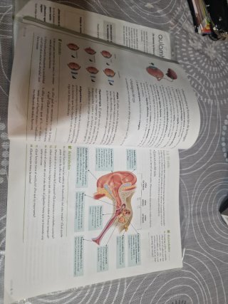 Biología y Geología, 3o ESO.