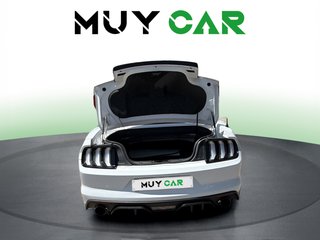 Ford Mustang 2.3 EcoBoost Convertible Aut. 231 kW (310 CV)