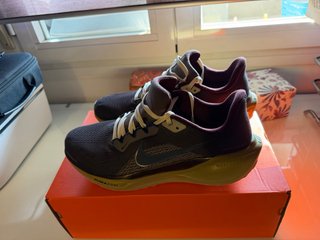 Nike Air Zoom Pegasus 41 PRM Gris/Morado