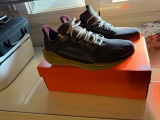 Nike Air Zoom Pegasus 41 PRM Gris/Morado