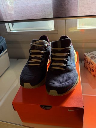 Nike Air Zoom Pegasus 41 PRM Gris/Morado