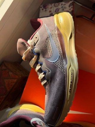 Nike Air Zoom Pegasus 41 PRM Gris/Morado