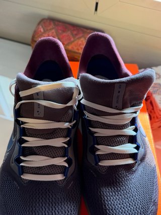 Nike Air Zoom Pegasus 41 PRM Gris/Morado