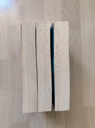 Saga culpables