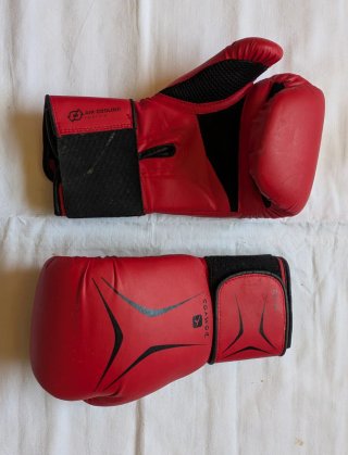 Guantes de boxeo Domyos rojos
