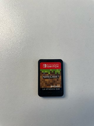 Nintendo Switch Lite Blu + Minecraft