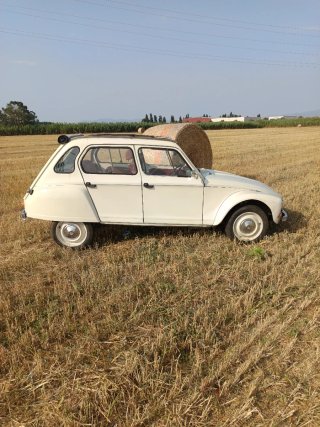 Citroen dyane 6 1982