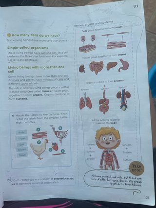 Natural Science, 4 Primary, Global Action
