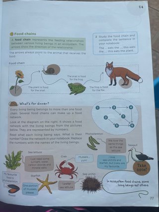 Natural Science, 4 Primary, Global Action