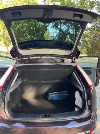 Ford Focus HIRVONEN 2008