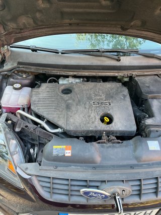 Ford Focus HIRVONEN 2008