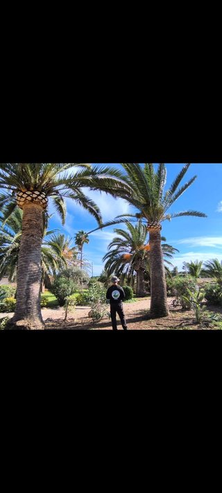 Ofrezco servicios de jardinería
