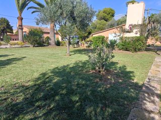Ofrezco servicios de jardinería