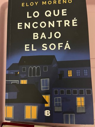 Libro Lo que encontré bajo el sofá